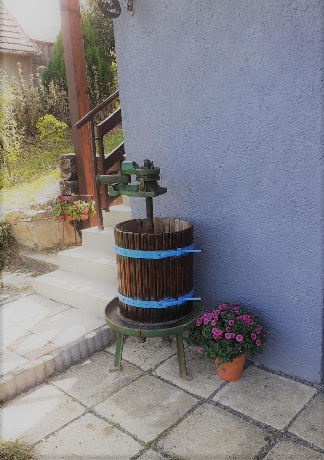Villa Ágnes almái Ágnes apples à Kisapati Extérieur photo