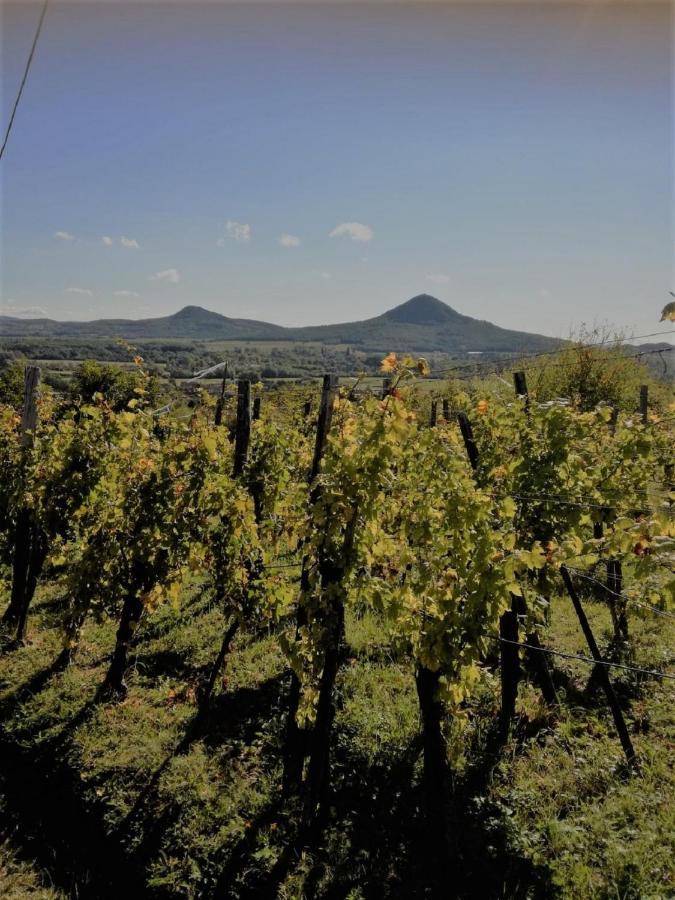 Villa Ágnes almái Ágnes apples à Kisapati Extérieur photo