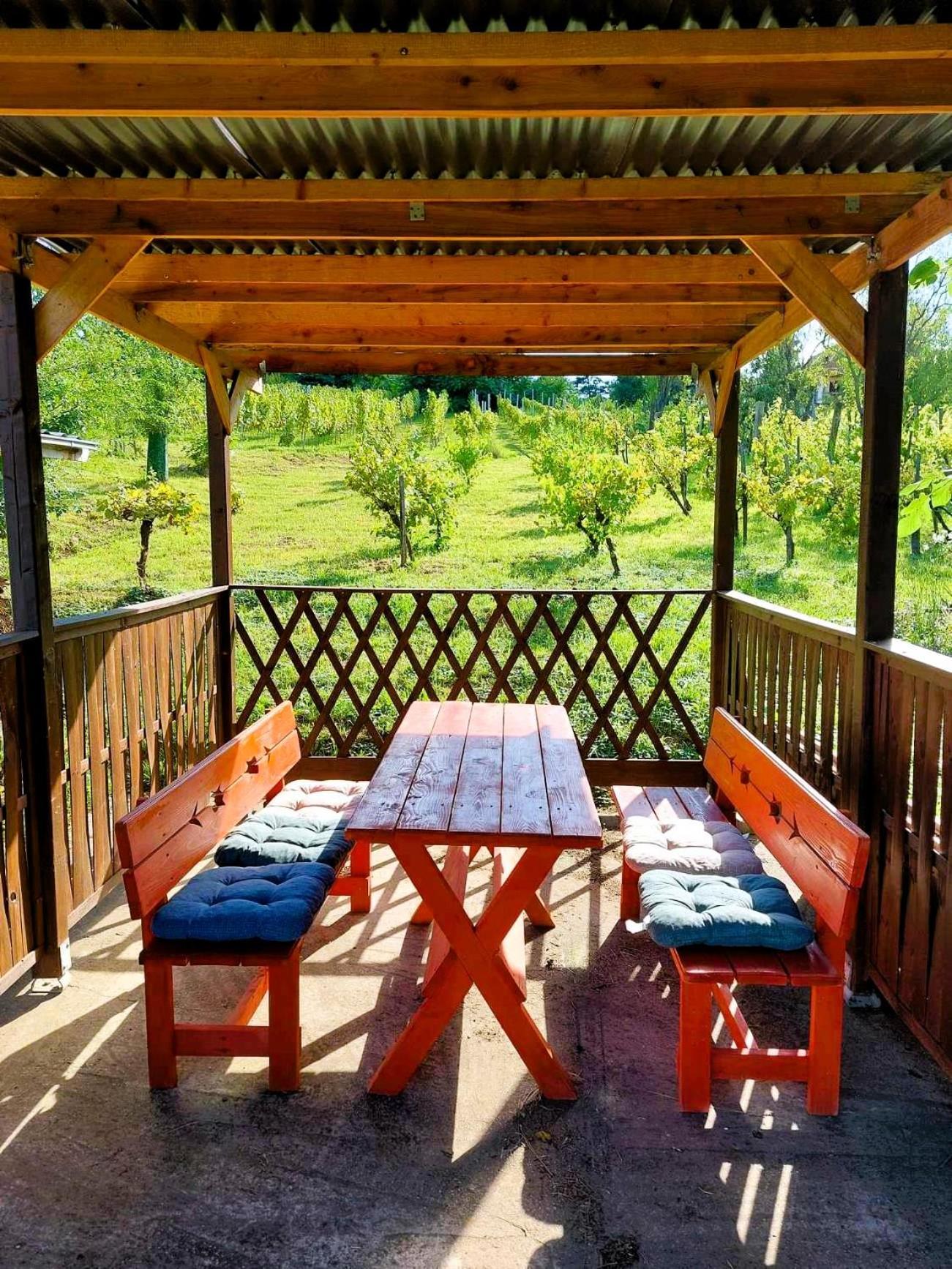 Villa Ágnes almái Ágnes apples à Kisapati Extérieur photo